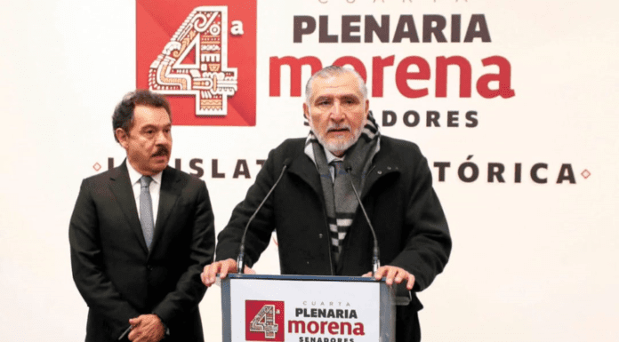 UNA CAÍDA CON RED DE PROTECCIÓN