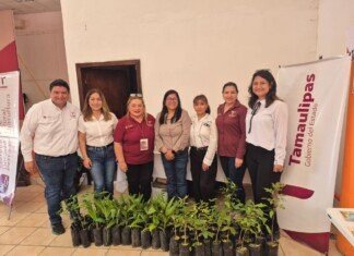 Acercan educación forestal a estudiantes de Padilla con taller interactivo