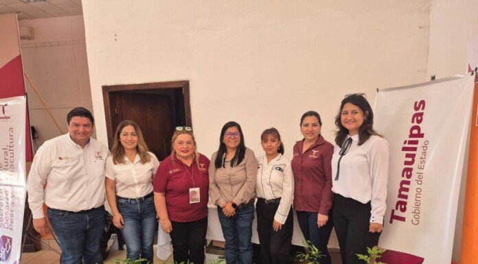 Acercan educación forestal a estudiantes de Padilla con taller interactivo