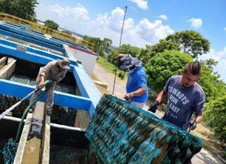 COMAPA Sur realiza mantenimiento preventivo en sedimentadores de la Planta Potabilizadora Laguna de la Puerta