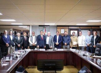 Autorizan apoyo extraordinario para la comercialización de maíz amarillo