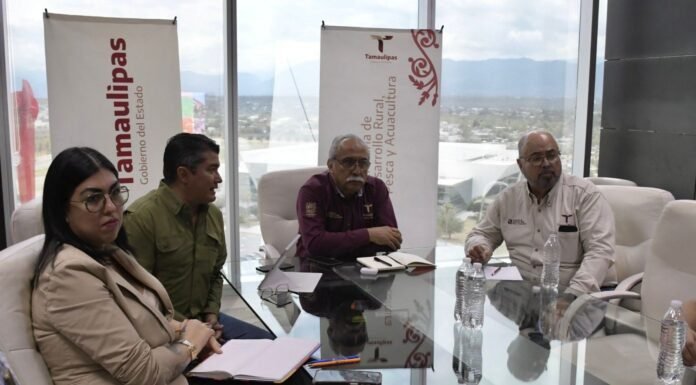Estructura Tamaulipas proyecto para elevar la producción de carne de calidad