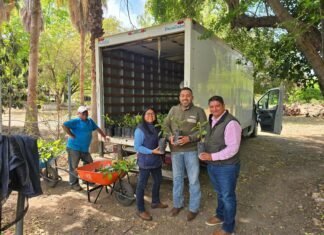 Avanza Nuevo Laredo hacia un entorno más verde y sustentable