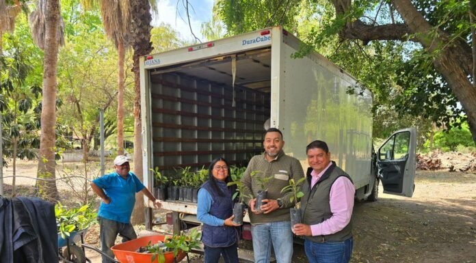 Avanza Nuevo Laredo hacia un entorno más verde y sustentable