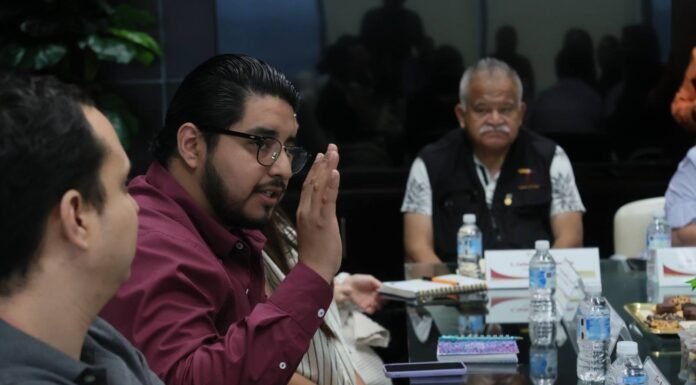 Avanza SEBIEN en la organización de archivos
