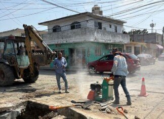 Refuerzan mantenimiento sanitario en la colonia Solidaridad, Voluntad y Trabajo