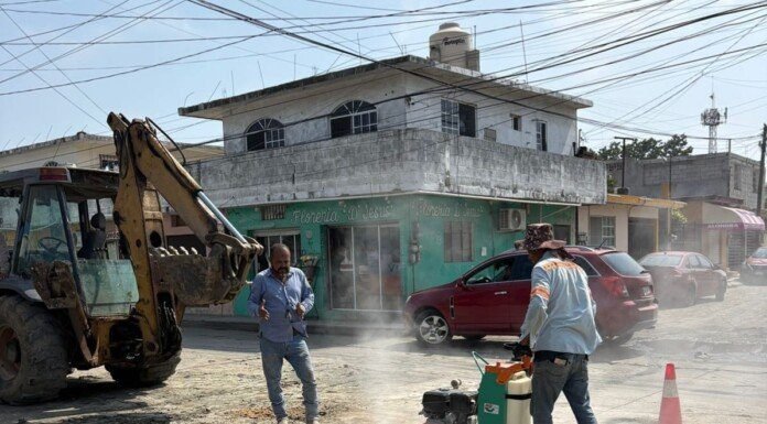 Refuerzan mantenimiento sanitario en la colonia Solidaridad, Voluntad y Trabajo