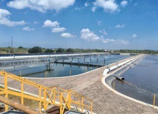 Proyecto Génesis: una visión integral para el cuidado del agua en el sur de Tamaulipas