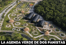 La agenda verde de dos panistas