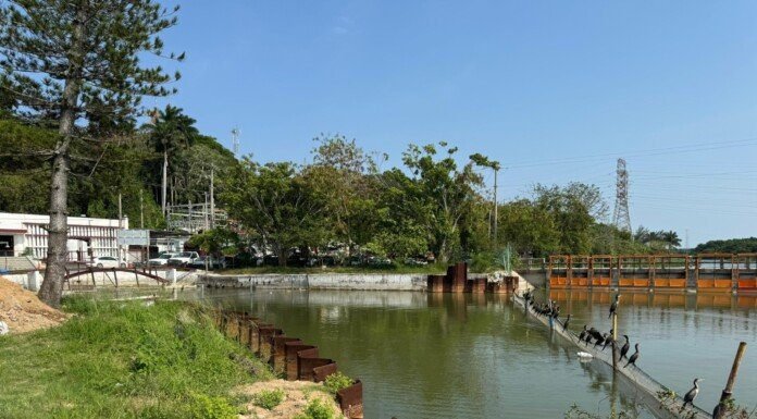 COMAPA SUR impulsa proyectos de optimización hidráulica para mejorar el servicio en la zona conurbada